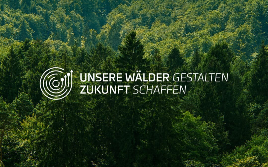 Mercer startet Initiative Unsere Wälder gestalten – Zukunft schaffen  zur Unterstützung deutscher Waldbesitzer