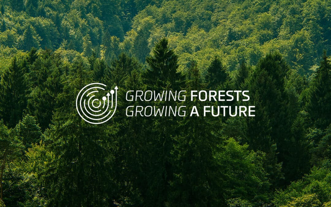 Mercer launches programme Growing forests – Growing a future to support forest owners in Germany